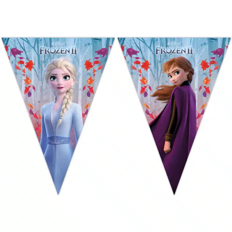 bandeiras decorativas Frozen